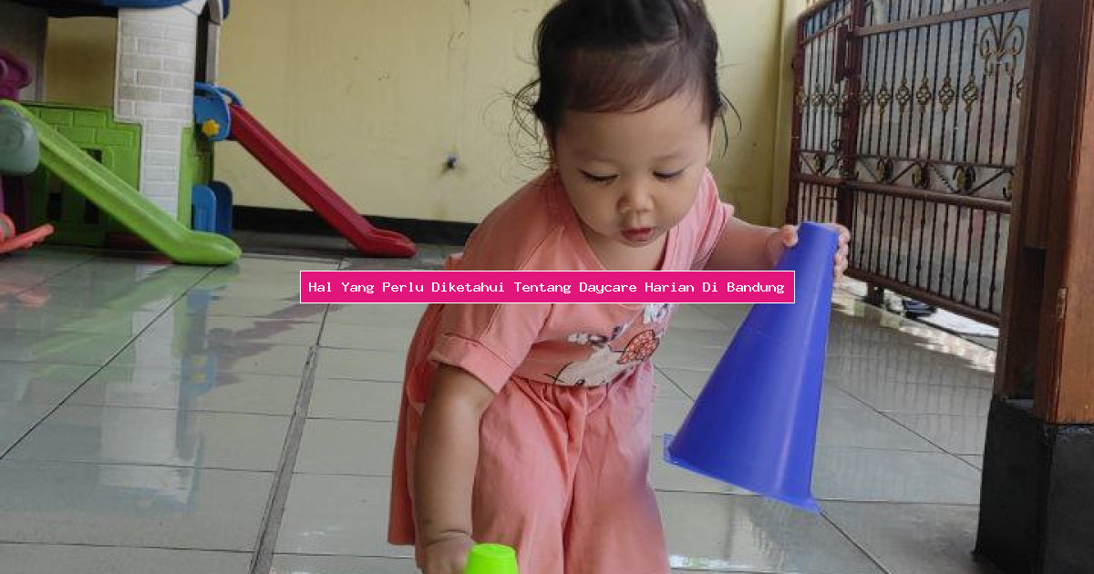 Hal Yang Perlu Diketahui Tentang Daycare Harian Di Bandung