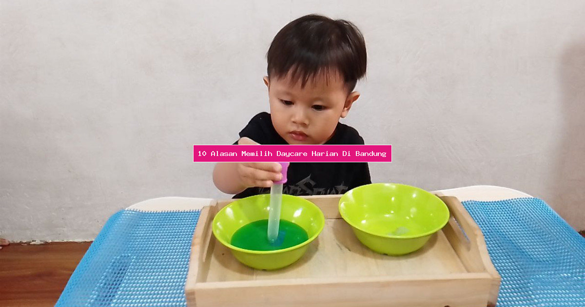 10 Alasan Memilih Daycare Harian Di Bandung