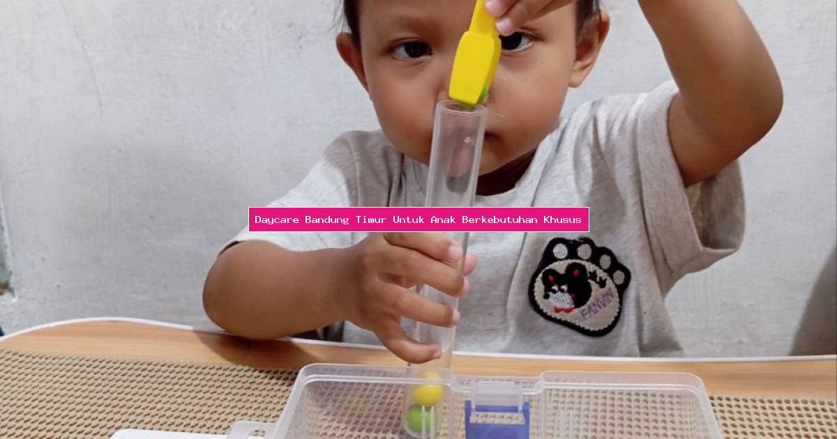 Daycare Bandung Timur Untuk Anak Berkebutuhan Khusus