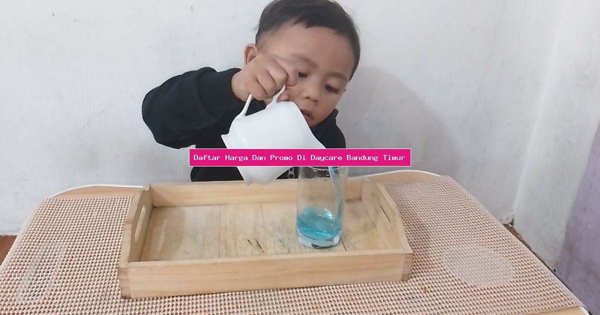 Daftar Harga Dan Promo Di Daycare Bandung Timur