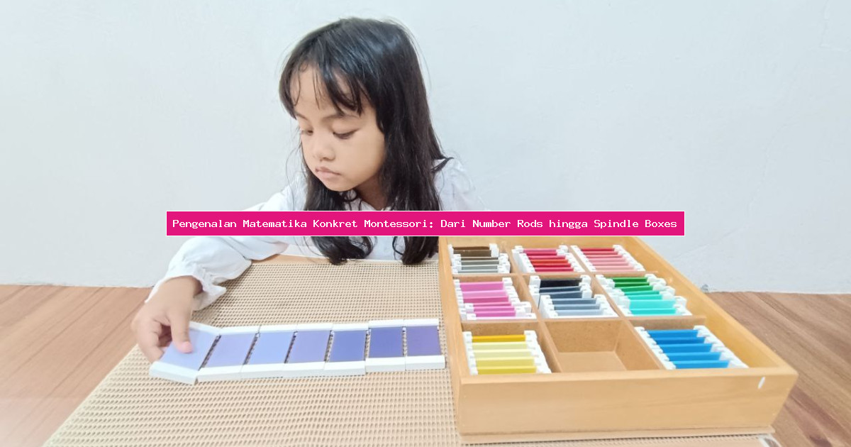 Pengenalan Matematika Konkret Montessori: Dari Number Rods hingga Spindle Boxes