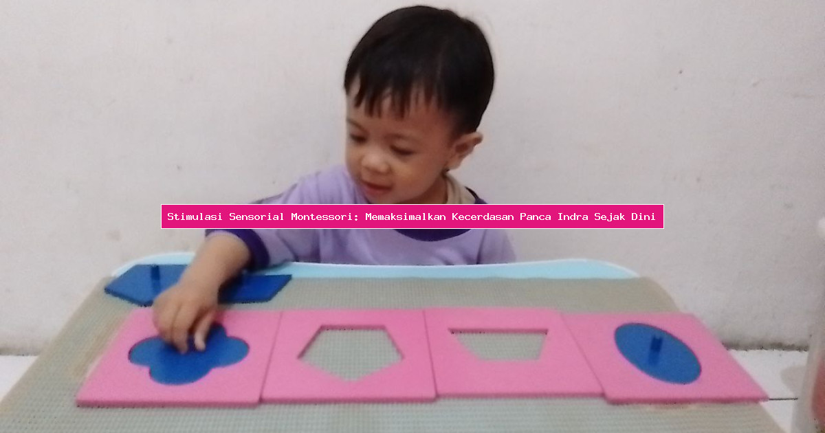 Stimulasi Sensorial Montessori: Memaksimalkan Kecerdasan Panca Indra Sejak Dini