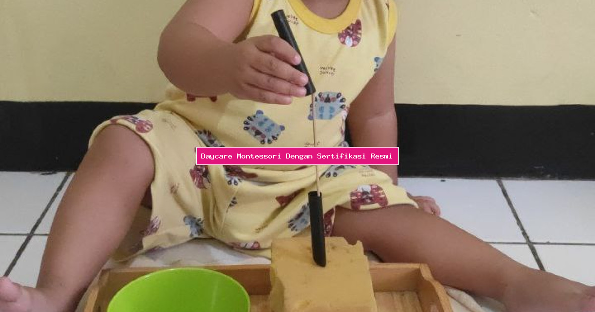 Daycare Montessori Dengan Sertifikasi Resmi