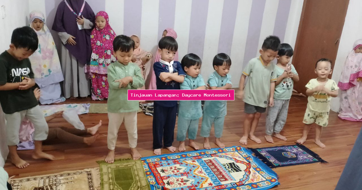 Tinjauan Lapangan: Daycare Montessori
