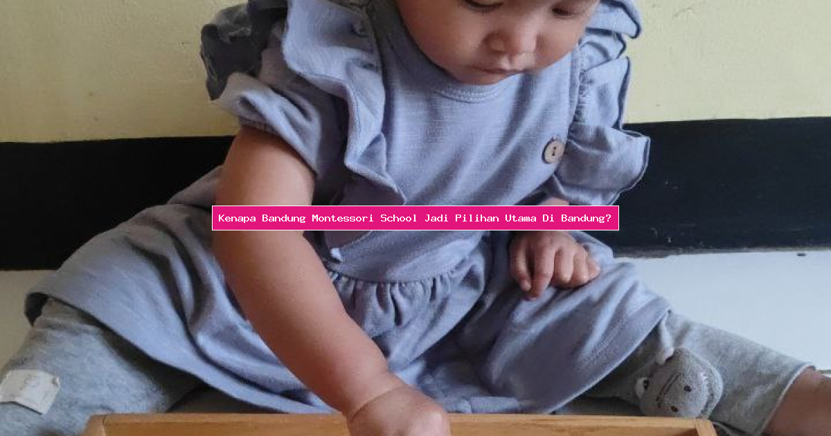Kenapa Bandung Montessori School Jadi Pilihan Utama Di Bandung?