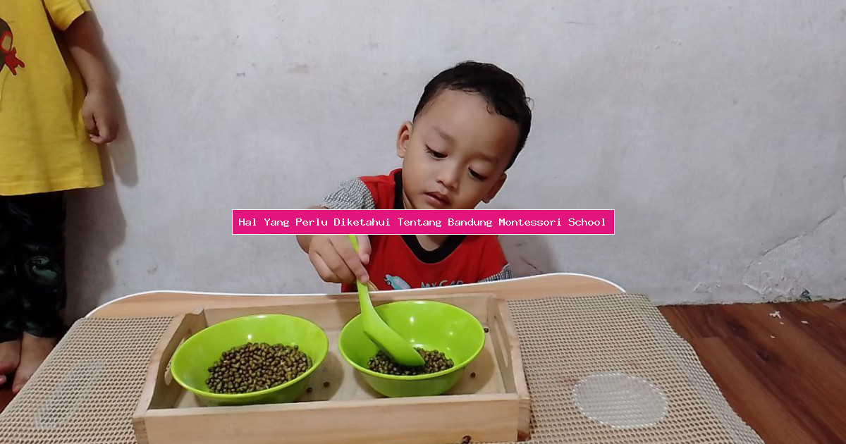 Hal Yang Perlu Diketahui Tentang Bandung Montessori School