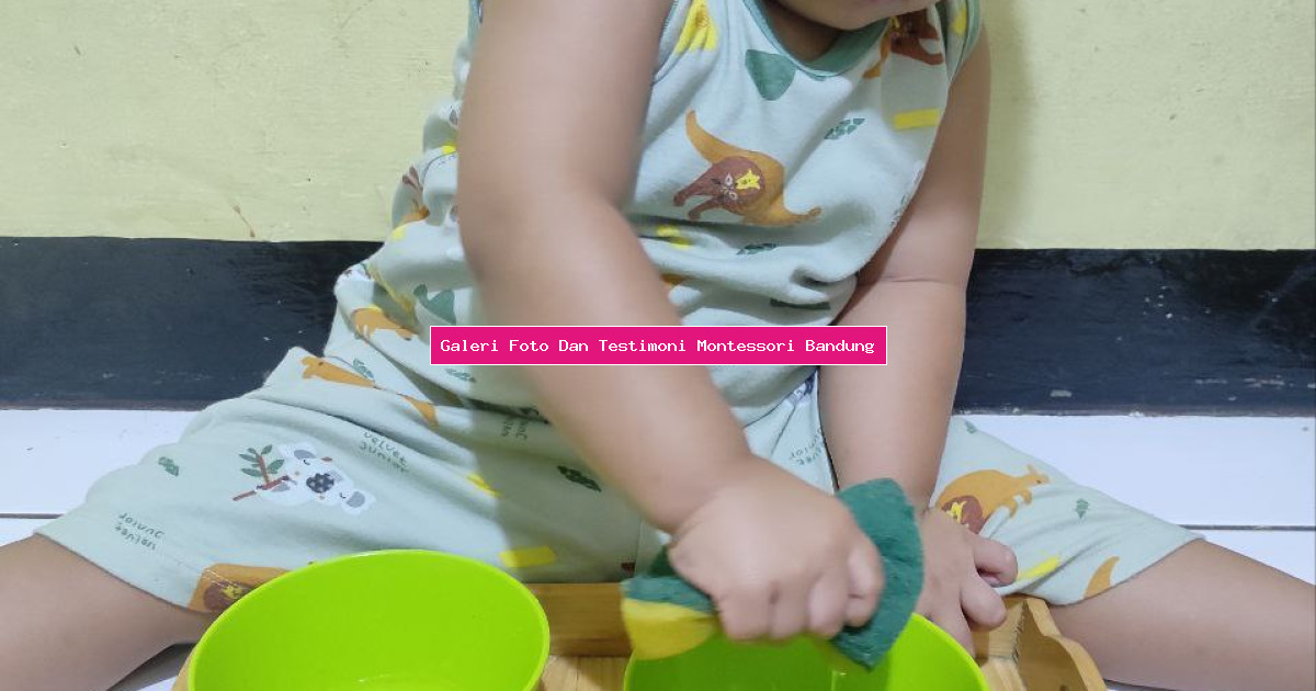 Galeri Foto Dan Testimoni Montessori Bandung