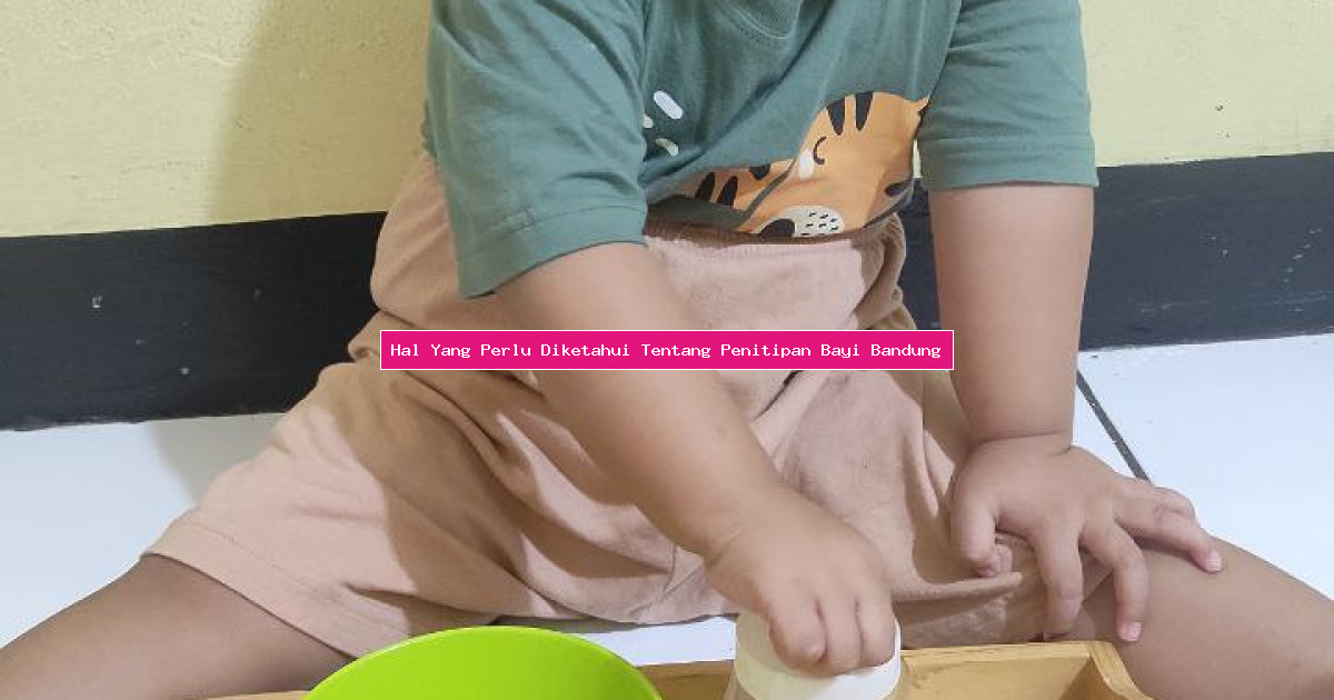 Hal Yang Perlu Diketahui Tentang Penitipan Bayi Bandung