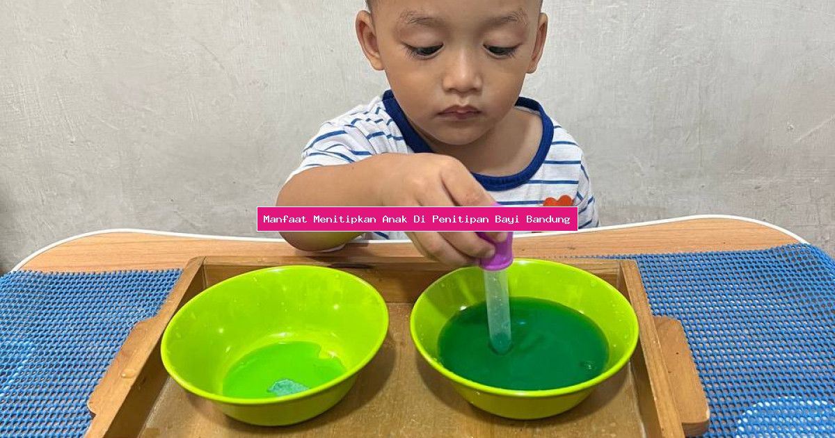 Manfaat Menitipkan Anak Di Penitipan Bayi Bandung