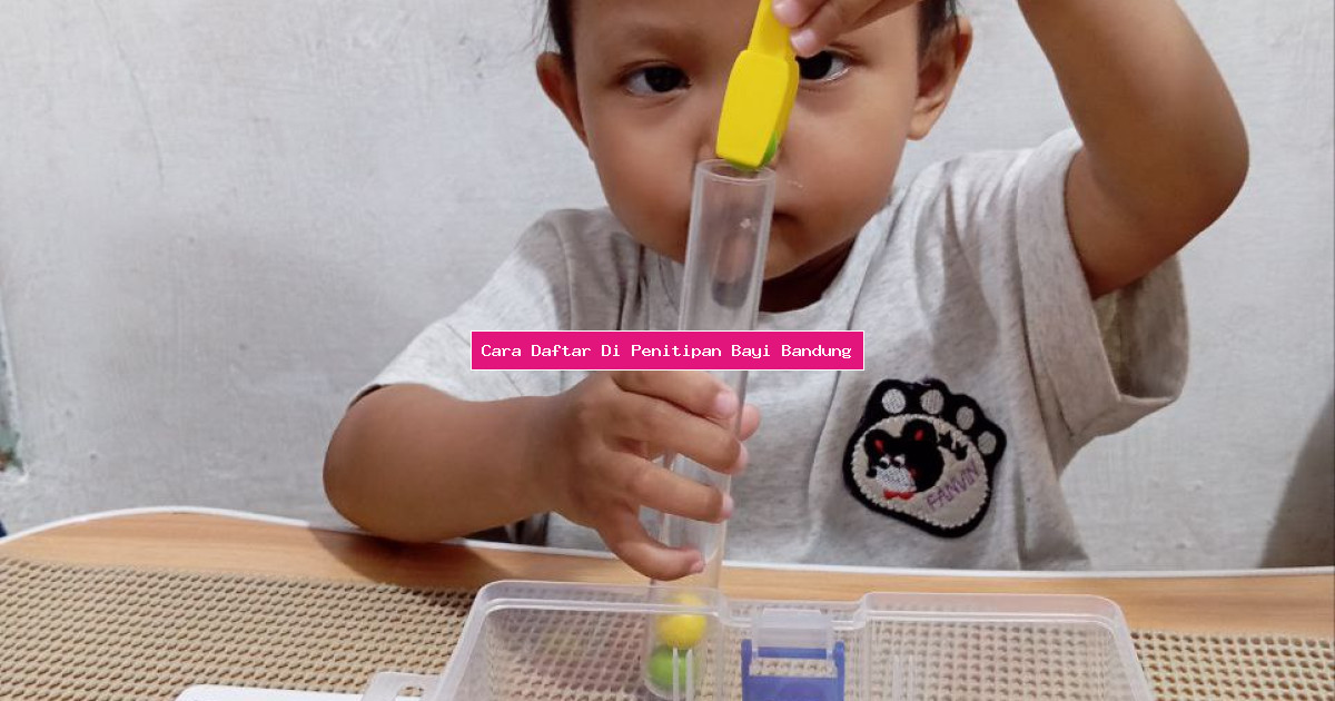 Cara Daftar Di Penitipan Bayi Bandung