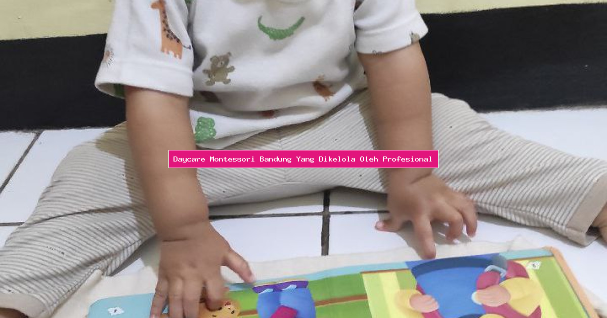 Daycare Montessori Bandung Yang Dikelola Oleh Profesional